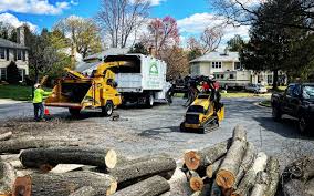 Best Seasonal Cleanup (Spring/Fall)  in Russellville, KY