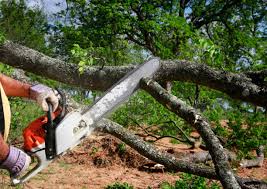 Best Seasonal Cleanup (Spring/Fall)  in Russellville, KY