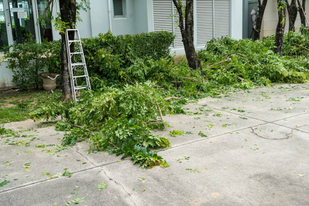 Best Lawn Watering Services  in Russellville, KY