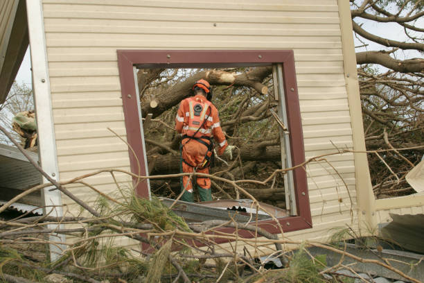 Trusted Russellville, KY Tree Services Experts